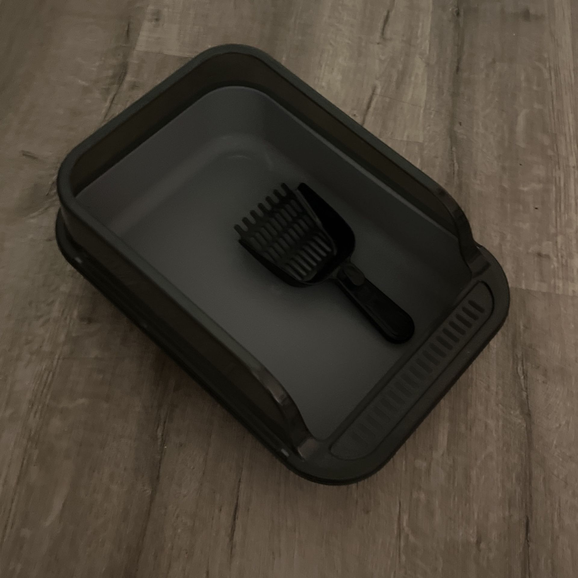 small litter box for kittens