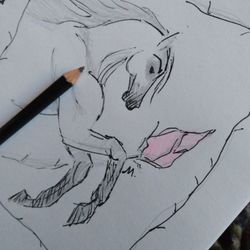 Small Horse And Rose Art