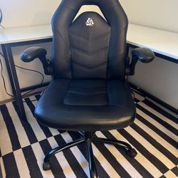 Comfortable Adjustable Desk  Chair 
