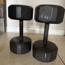 25 Pound Dumbbells 