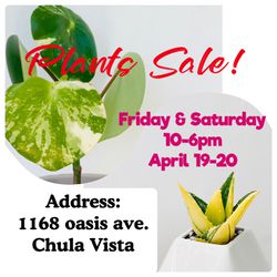 Plants Sale!🌿🌿🌸