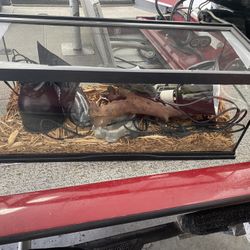 Reptile Setup. Holds Water. 