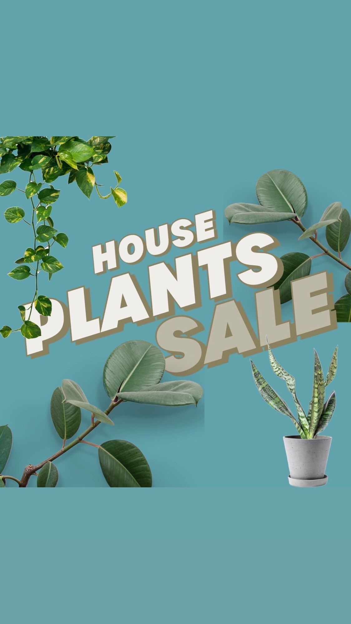 Plants For Sale