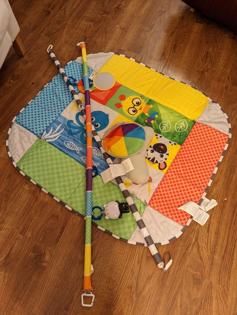 Baby Einstein Play Mat 