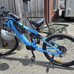 2024 Cyberbike Mullet R