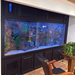 750 Gallon Aquarium 