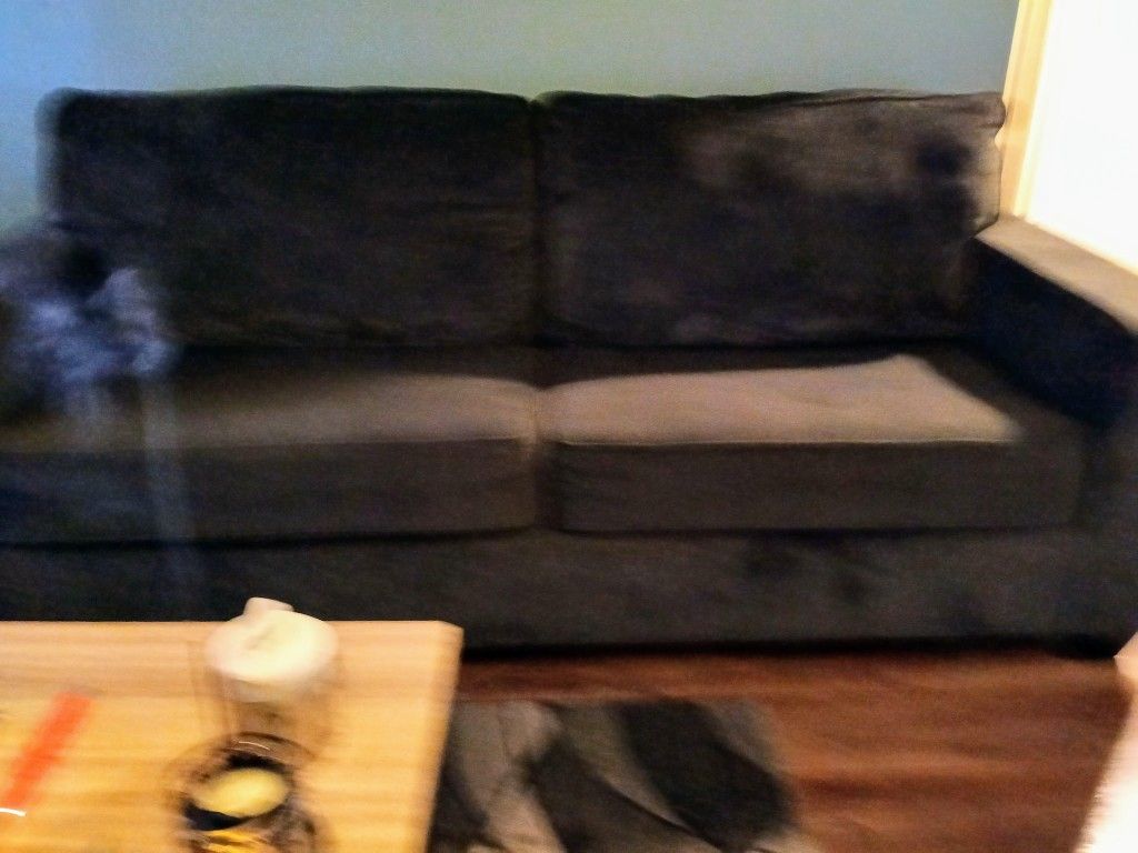Loveseat Couch