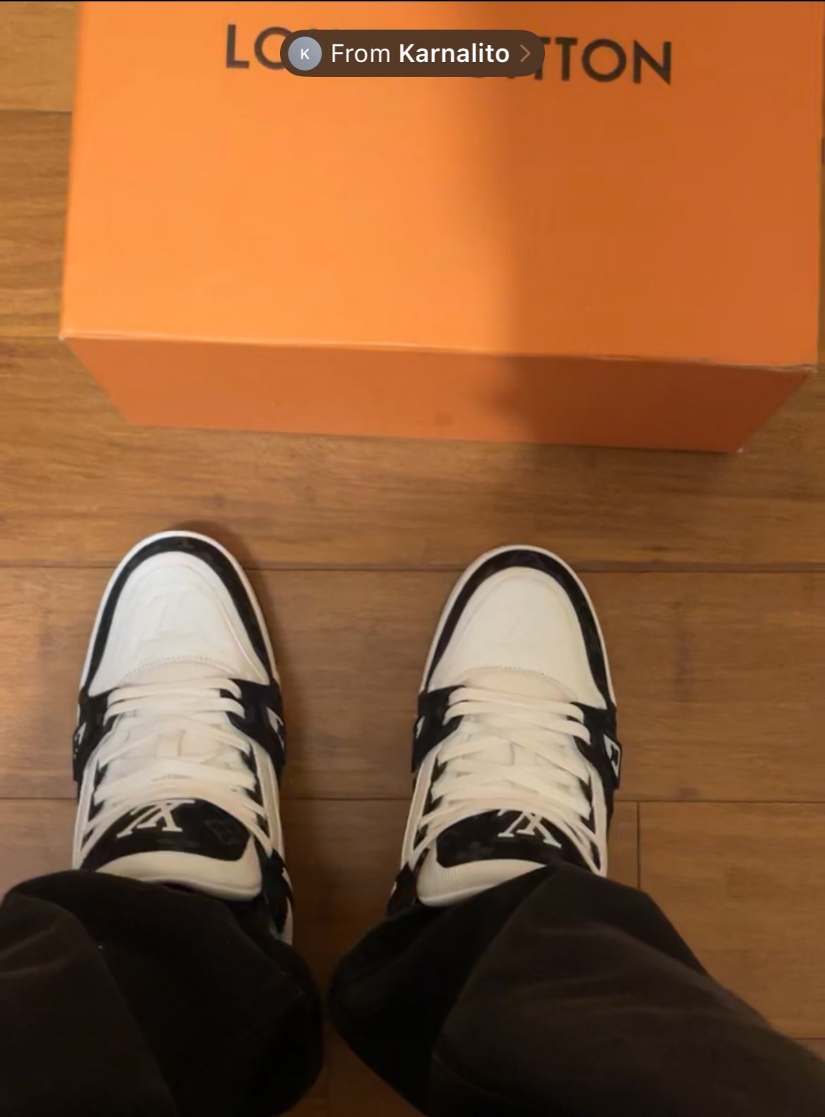Louis Vuitton Shoes
