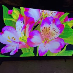 55” 4K Google Tv 