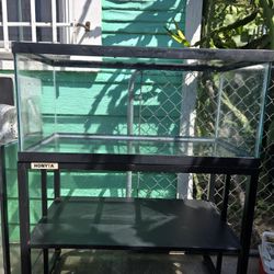40 Gallon Breeder Tank & Stand