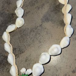 Vintage Rare Eye Shell Necklace 