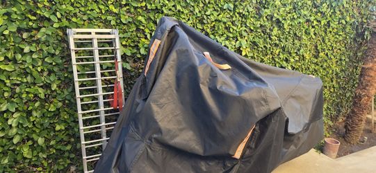 Rawrr Mantis X Emoto