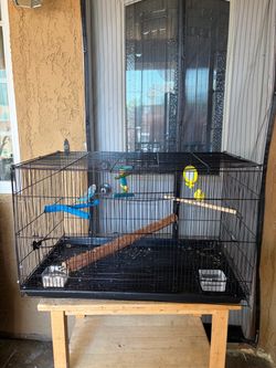 Bird cage