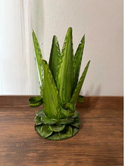 Cactus bottle and shot holder