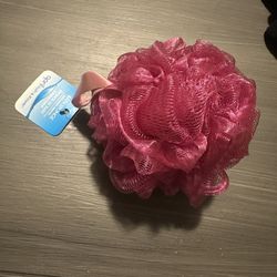 Bath Sponge