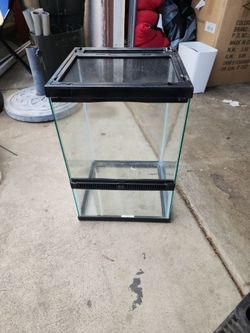 Lizard tank