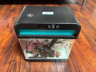 Fish tank for Betta fish