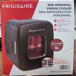 Mini Fridge 