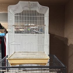 Bird cage