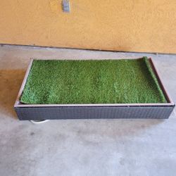 Dog Porch Potty