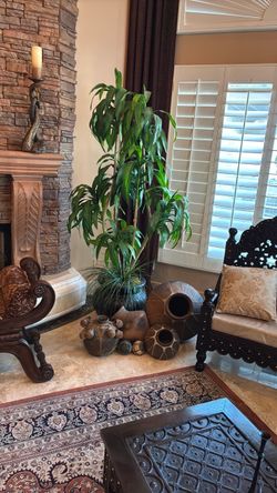 Plant designer with clay decoration