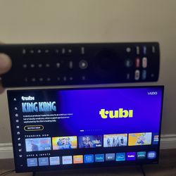 Vizio 32" Inch D Series Television