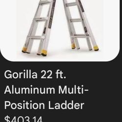 Gorilla Ladder 22 Ft