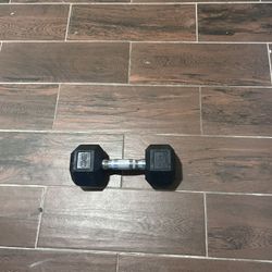 20lb Dumbbell 