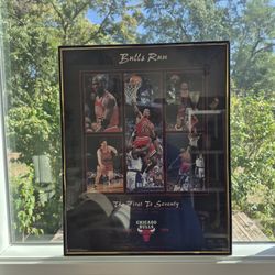 Chicago Bulls Picture 1(contact info removed) -Bulls RUN-