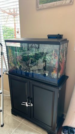 Fish Tank And Accessories