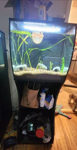 2 Fluval 15 Gallon Fish Tanks with Stand and LED Light