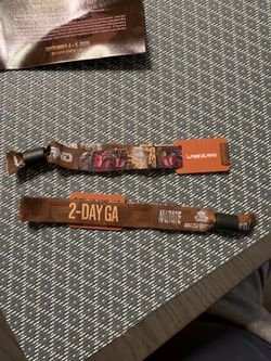 1 2DAY GA WASTELAND TICKET