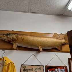 Fishing Items,antiques, Glassware, Furniture, Jewelry, Candles 