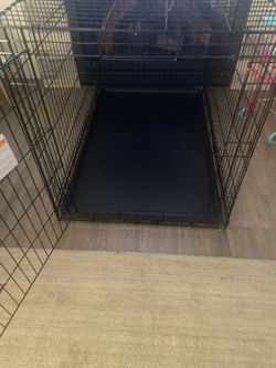 Large dog crate