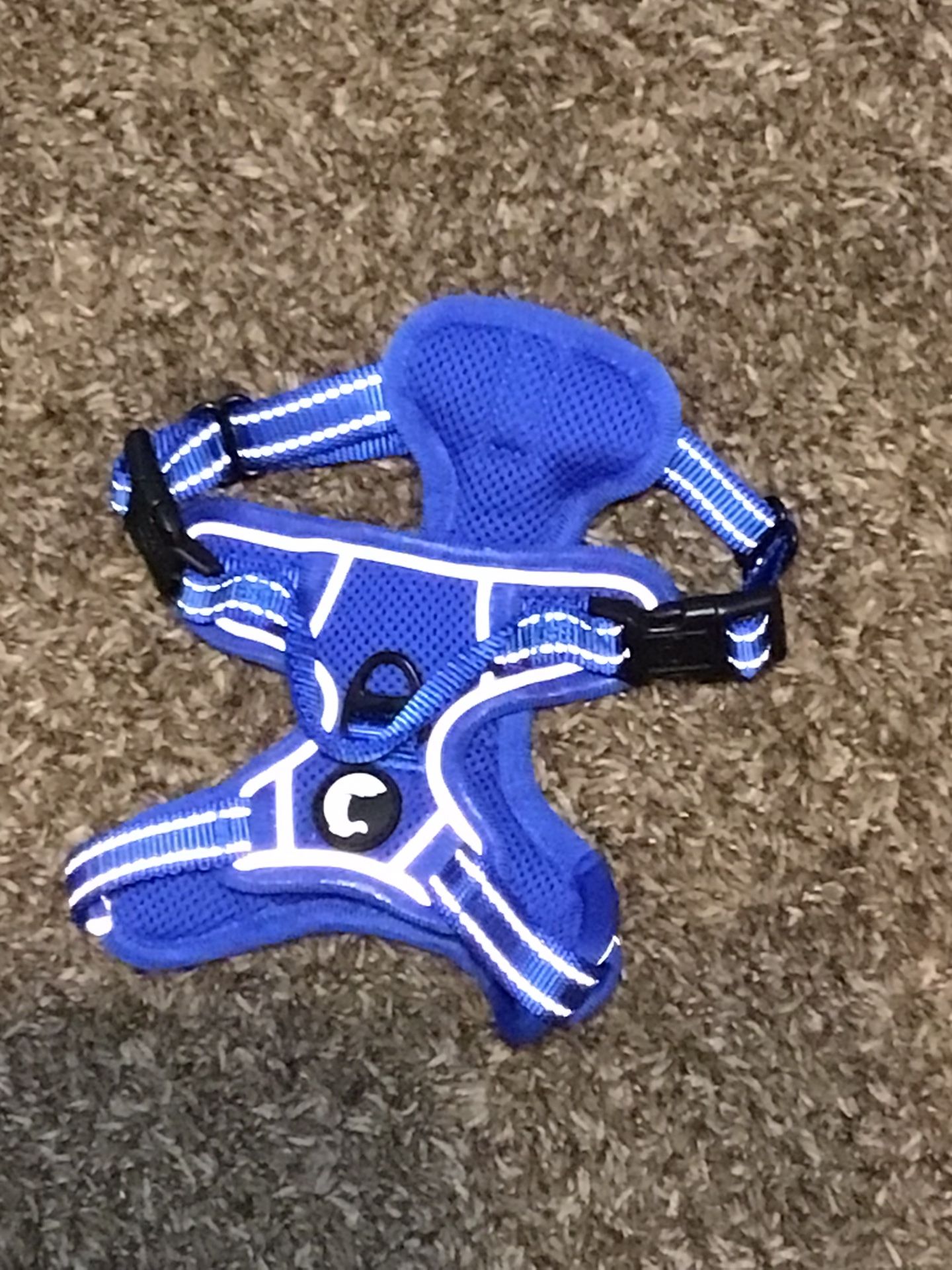 XS Blue Dog Harness