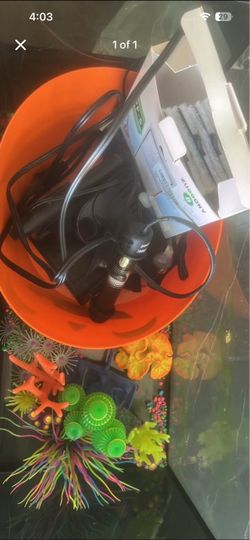 10 gal glowfish tank