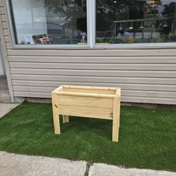 Plantas Box 