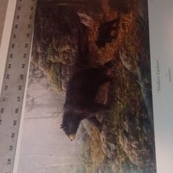 northern explorers print