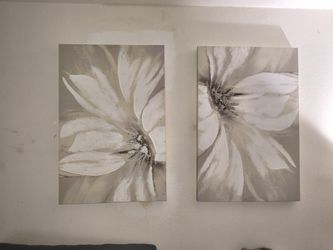 Flower Pictures