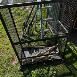 Lizard Cage