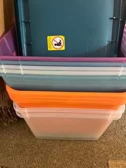 Plastic Storage Bins Set of 5
