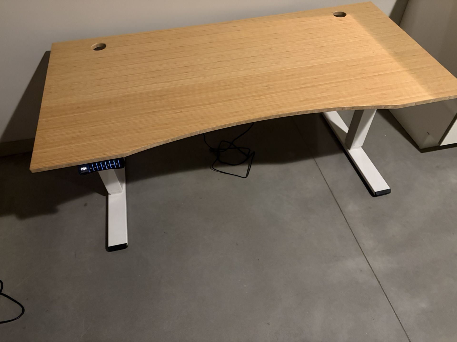 Flexispot Electric Standing Desk 60x30
