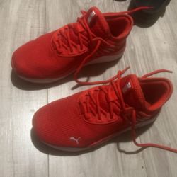 Puma Red