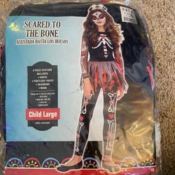 Girls Halloween Costume- Size Youth Large