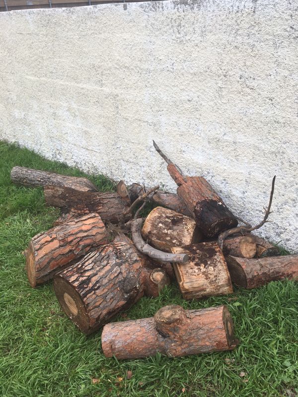 Wood Stumps for Sale in West Covina, CA OfferUp