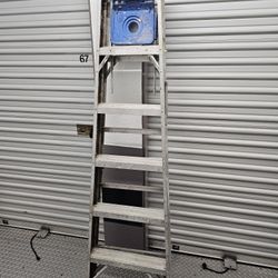 Warner ladder 6ft