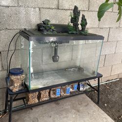 30 Gallon Glass Aquarium