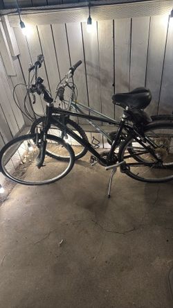 Giant bike