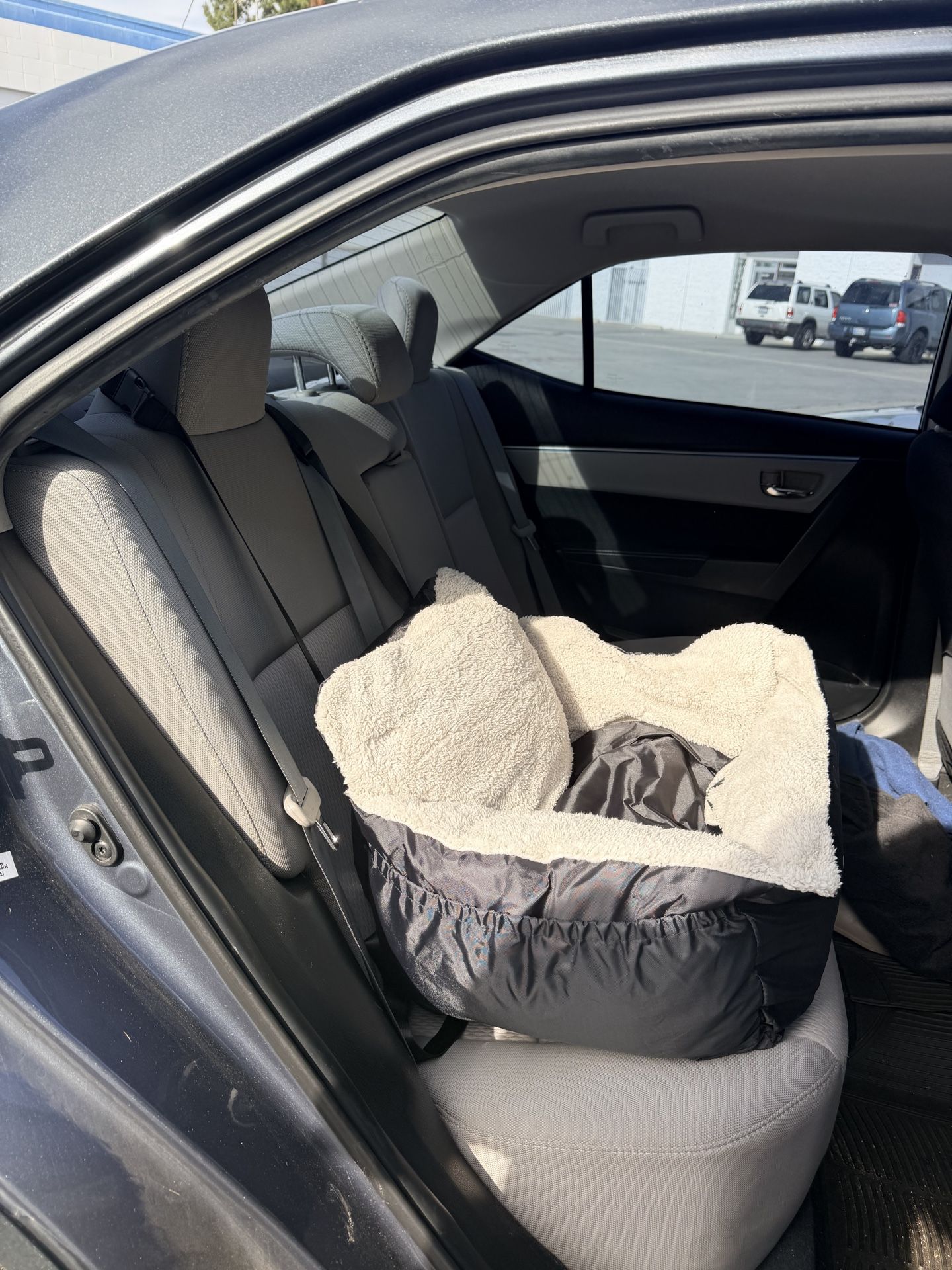 Small Dog Car Seat