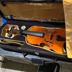 Violin